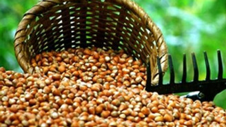 dursun oğuz gürsoy ile ilgili görsel sonucu