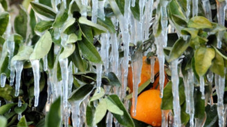 Meteorolojiden zirai don ve çığ uyarısı