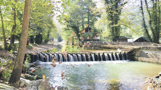 Karasu'da maviyle yeşilin sonbahar dansı