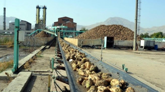 Şekerde 3 ihale birden: İşte şeker fabrikalarının yeni sahipleri