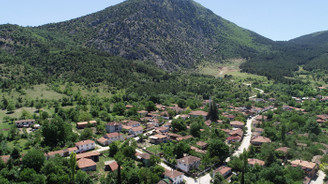 Evlerini bıraktılar tohumlarını bırakmadılar