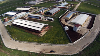 Devlet yatırımı istihdam yarattı
