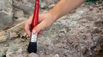 Meksika'da yeni dinozor türü keşfedildi