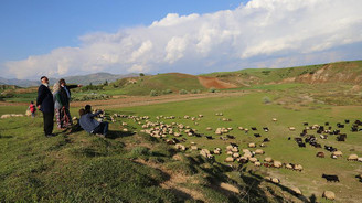 Yayla yasağının kalkması yatırımları artırdı