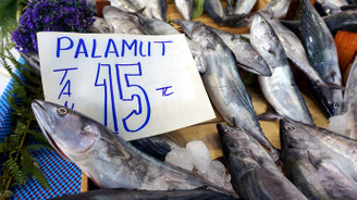 Palamut bolluğu fiyatlara yansıdı