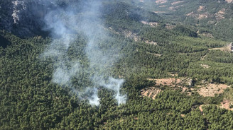 Antalya'da ormanlık alanda yangın