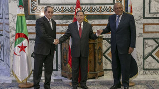Libya'ya komşu ülkelerden 'siyasi çözüm' vurgusu