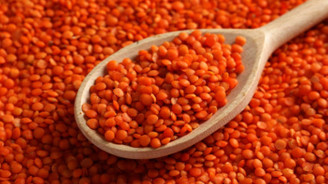 Kırmızı mercimek pandemide Akdeniz’in ihracat şampiyonu oldu