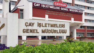 Çaykur'da ikinci sürgün kotası belirlendi