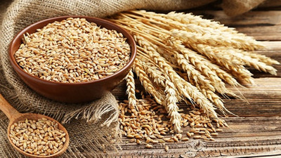 TMO, 395 bin ton ekmeklik buğday aldı