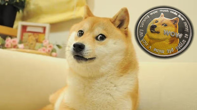 Dogecoin'in simgesi Kabosu öldü