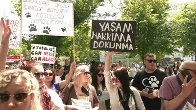 Hayvanların 'uyutulması' tasarısına Ankara'da protesto