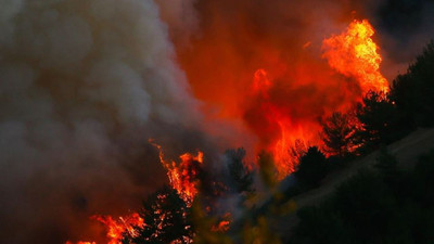 Sıcaklıklar rekor kırdı: Orman yangınları geçen yıla göre yaklaşık 5 kat arttı