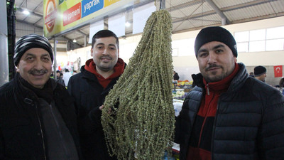 Çiçek bamyasının fiyatı duyanları şaşırtıyor! Gram altını bile geçti