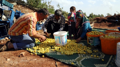 'Amanos alıcı' üreticisini sevindirdi