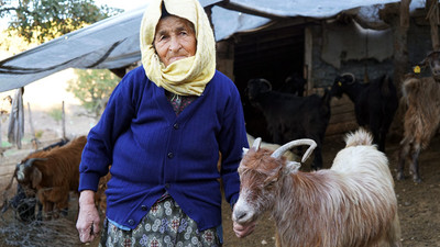 Koyun ve keçilerin peşinde 70 yıl
