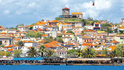 Ayvalık ve zeytinyağı markaları