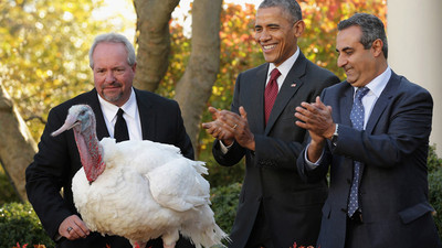 Obama, başkan olarak son kez hindi affetti