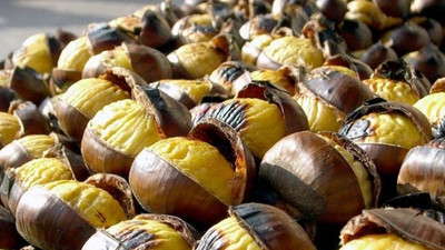 Kestane fiyatı üreticisini sevindirdi