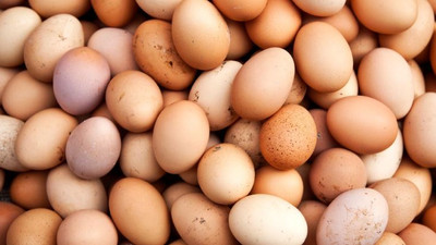 Yumurta fiyatlarındaki artış 'geçici'