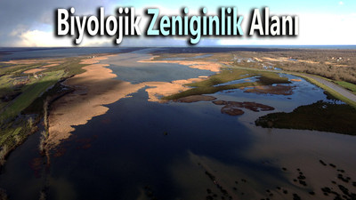 Biyolojik zenginlik alanı