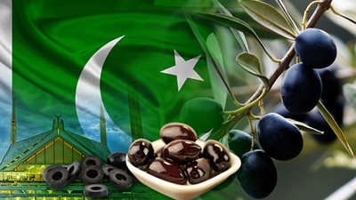 Pakistanlı gıda toptancısından zeytin talebi