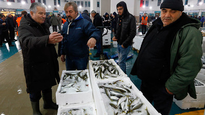 Komşuya balık ihracatı