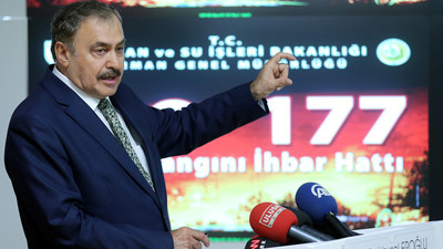 Orman yangınlarında artış