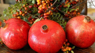 Silifke'de nar hasadı başladı