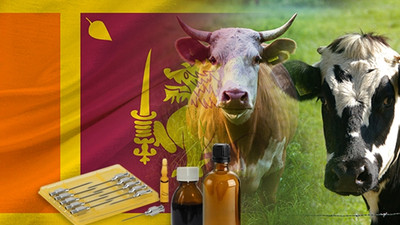 Sri Lanka'dan veteriner ilaçları bayiliği talebi