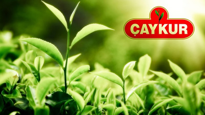 ÇAYKUR, Afrika pazarında