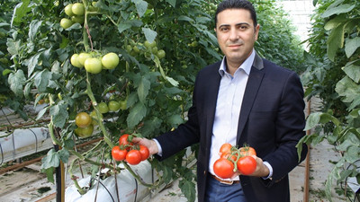 Domateste AB’nin de ithalatı durduracağı tarih yaklaşıyor
