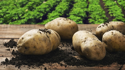 Patates fiyatı en çok azalan ürün oldu