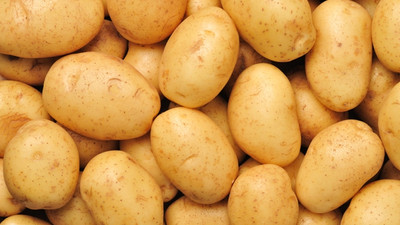 Patates ihracatına teşvik