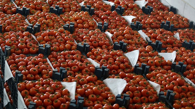 Domates yüzde 60 zamlandı