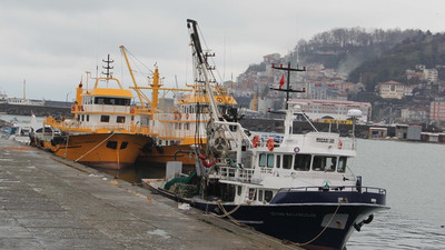 Karadenizli balıkçılar sezonu erken kapatıyor