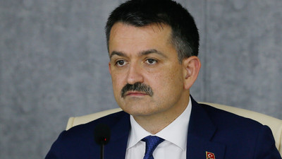 Bakan Pakdemirli'den fındık açıklaması