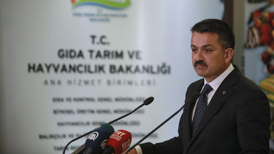 Rusya'ya 'ihracat' çıkarması
