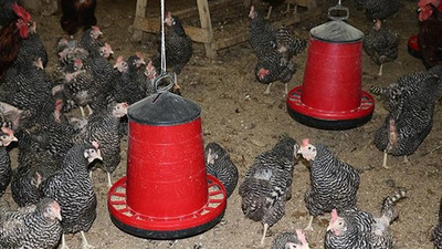 Hobisi gelir kapısı oldu