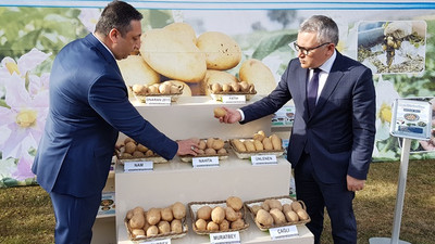 Dört yerli patates ihaleyle satışta