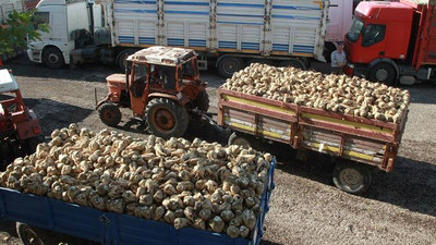 Şeker fabrikaları için 1 milyon 600 bin imza