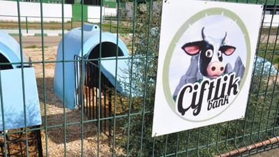 Çiftlik Bank'ın tavuk ve yumurtaları satılıyor