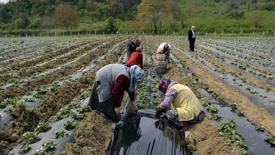 Islah edilen 'çöplük'te 40 çeşit meyve