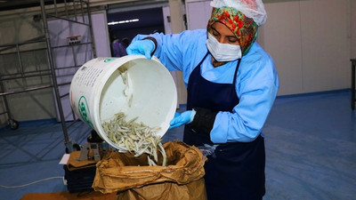 "Avrupalılar, çerez olarak tüketiyor"