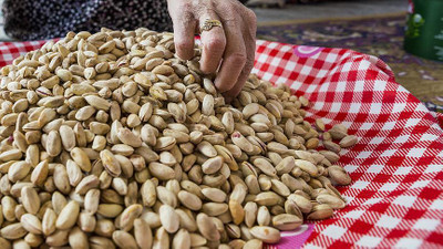 Antep fıstığında rekoltede düşüş fiyatı yükseltti