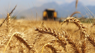 Arpa, tritikale, çavdar ve yulafın alım fiyatı açıklandı