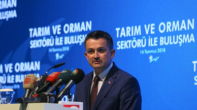 Pakdemirli: Beni her yerde göreceksiniz
