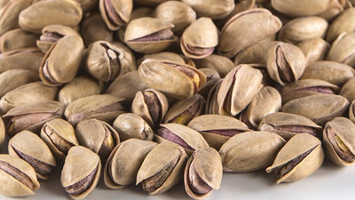 Doğanın mucizelerinden: Antep fıstığı