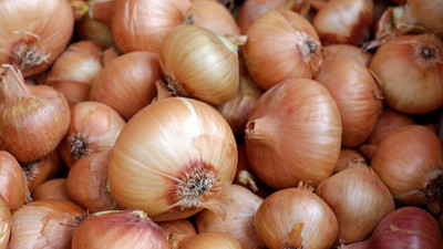 Soğanda gümrük vergisi sıfırlandı