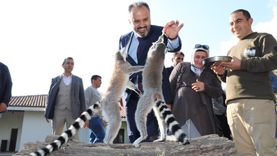 Bursa Zoo 20 yaşında